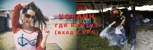 стафф Сясьстрой