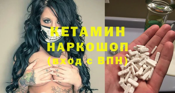 стафф Сясьстрой