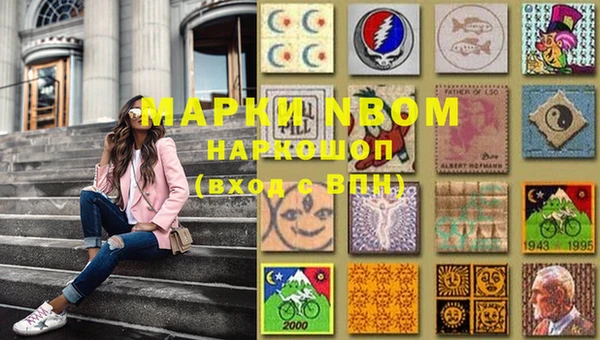 стафф Сясьстрой