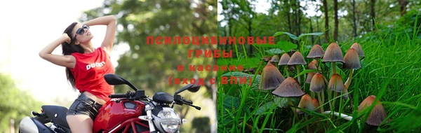 меф Струнино